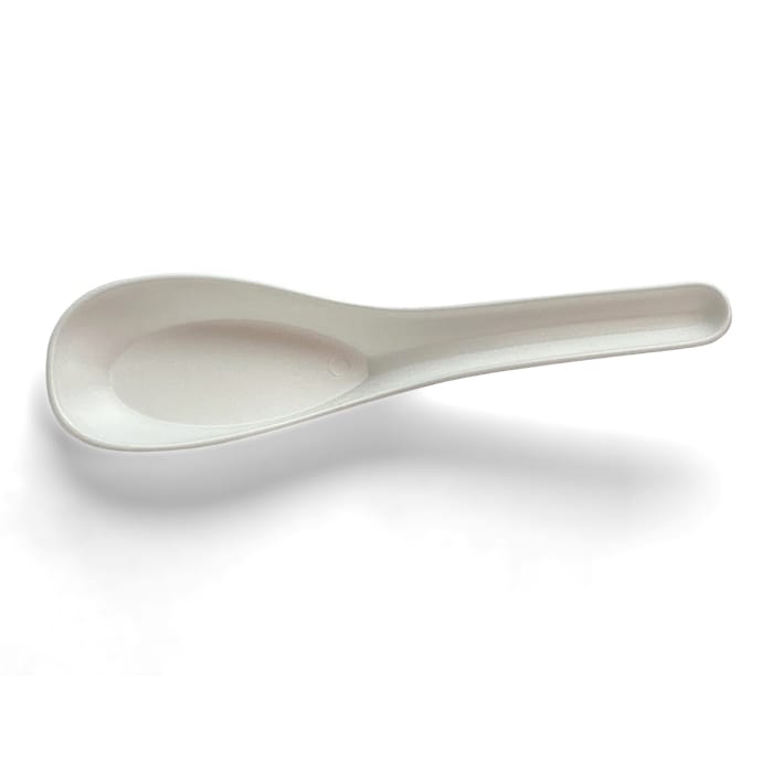 CPLA chinese soup spoon